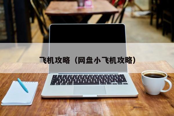 飞机攻略（网盘小飞机攻略）