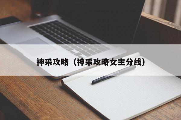 神采攻略（神采攻略女主分线）