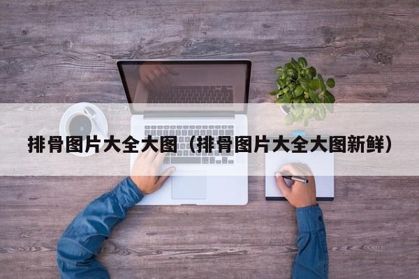 排骨图片大全大图（排骨图片大全大图新鲜）