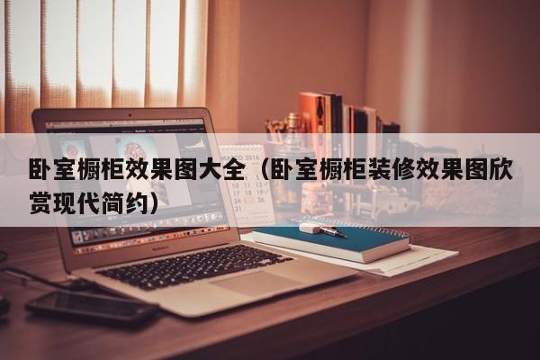 卧室橱柜效果图大全（卧室橱柜装修效果图欣赏现代简约）