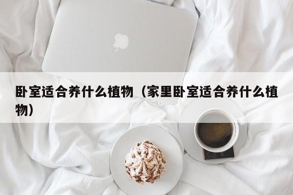 卧室适合养什么植物（家里卧室适合养什么植物）