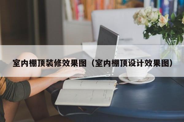 室内棚顶装修效果图（室内棚顶设计效果图）