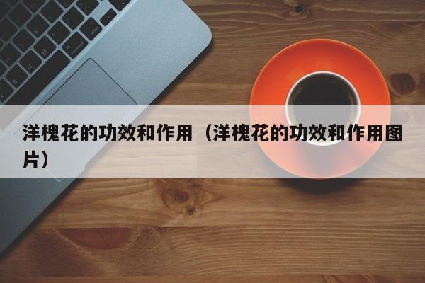 洋槐花的功效和作用（洋槐花的功效和作用图片）