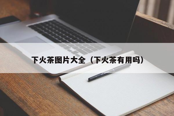 下火茶图片大全（下火茶有用吗）