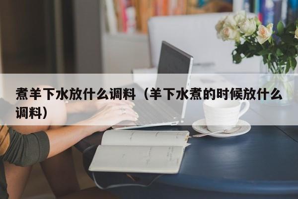 煮羊下水放什么调料（羊下水煮的时候放什么调料）