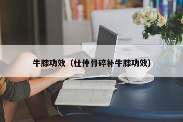 牛膝功效（杜仲骨碎补牛膝功效）