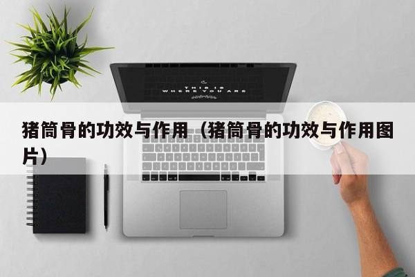 猪筒骨的功效与作用（猪筒骨的功效与作用图片）
