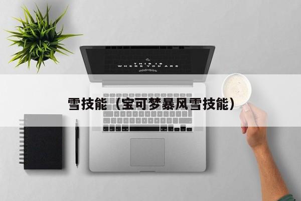 雪技能（宝可梦暴风雪技能）