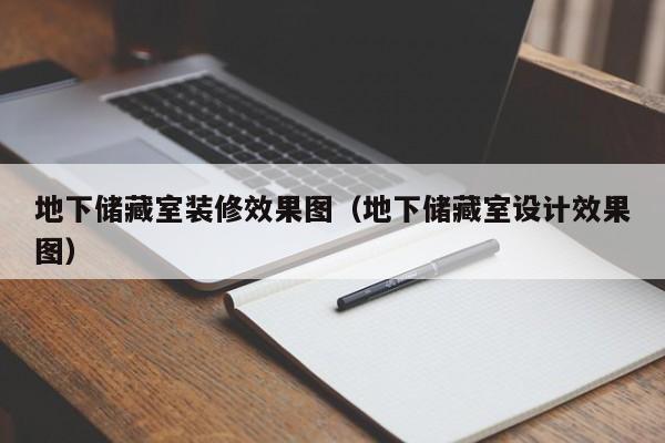 地下储藏室装修效果图（地下储藏室设计效果图）