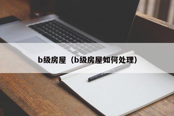 b级房屋（b级房屋如何处理）