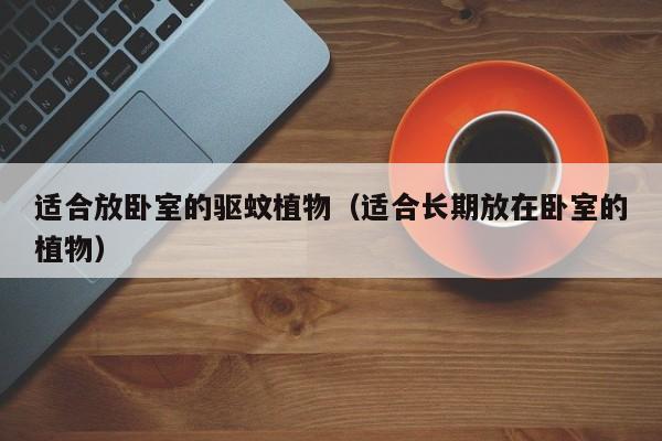 适合放卧室的驱蚊植物（适合长期放在卧室的植物）