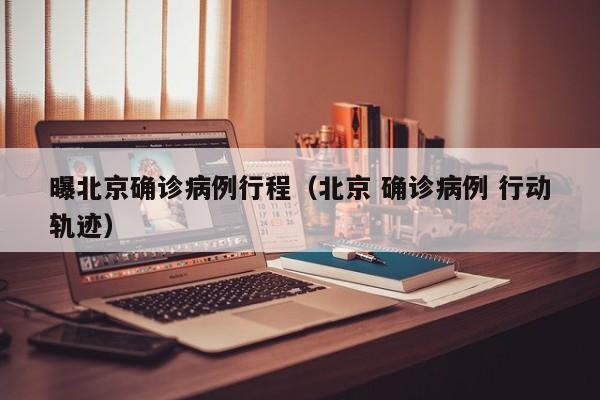 曝北京确诊病例行程（北京 确诊病例 行动轨迹）