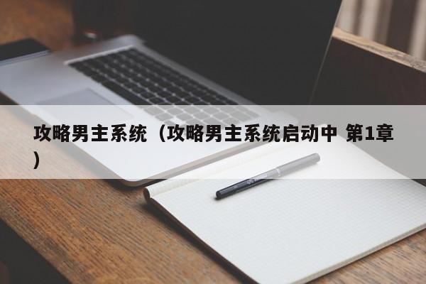 攻略男主系统（攻略男主系统启动中 第1章）