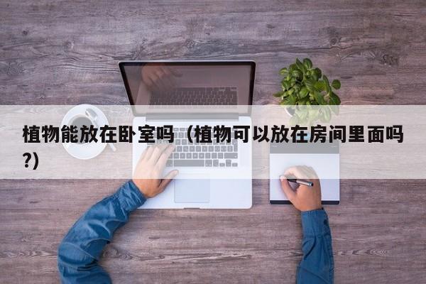 植物能放在卧室吗（植物可以放在房间里面吗?）