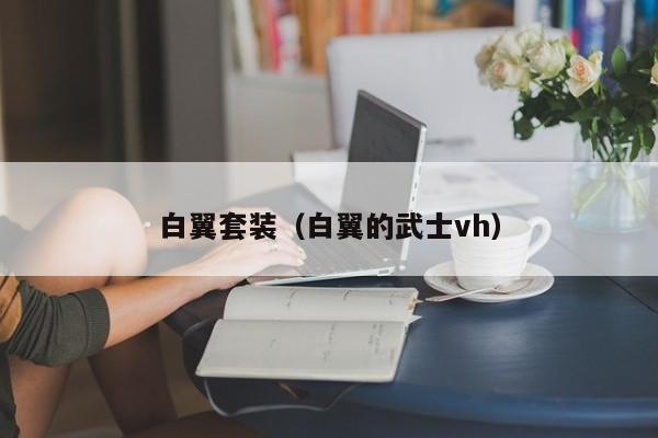 白翼套装（白翼的武士vh）
